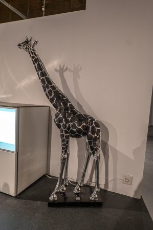 DSC 2953.jpg
