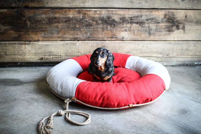 Hundehuette 20 Von 82.jpg