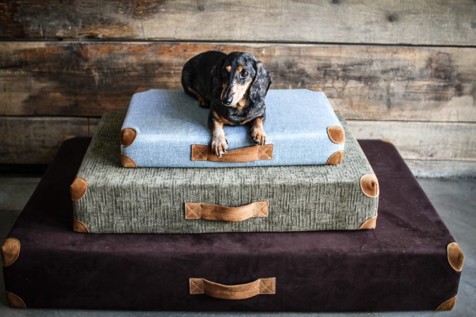 Hundehuette 57 Von 82.jpg
