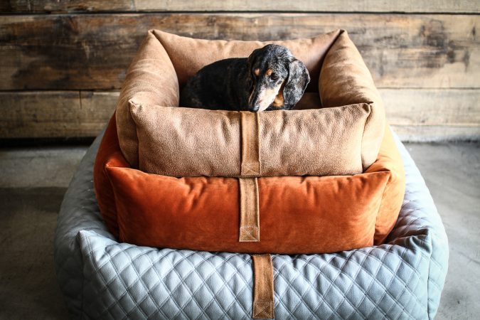Hundehuette 66 Von 82.jpg