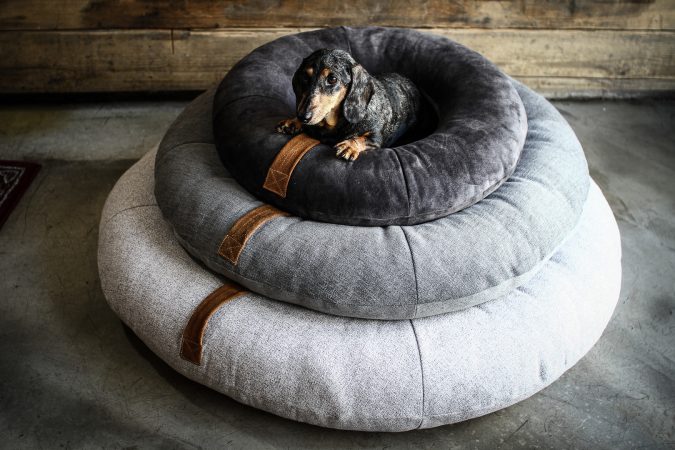 Hundehuette 74 Von 82.jpg